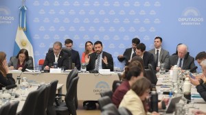 Presupuesto 2027: el equipo de Sturzenegger defendió en Diputados la baja de 81.000 empleos estatales