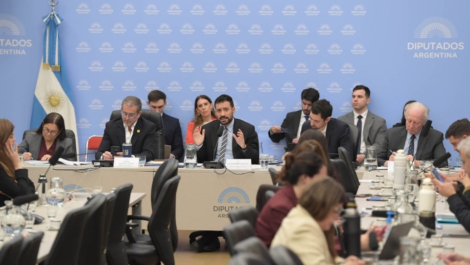 El secretario de Desregulación, Alejandro Cacace, durante su exposición ante la Comisión de Presupuesto y Hacienda de Diputados. (Foto: gentileza)