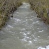 Imagen de Barrios sin agua en Bariloche: "la planta quedó chica", señaló Aguas Rionegrinas