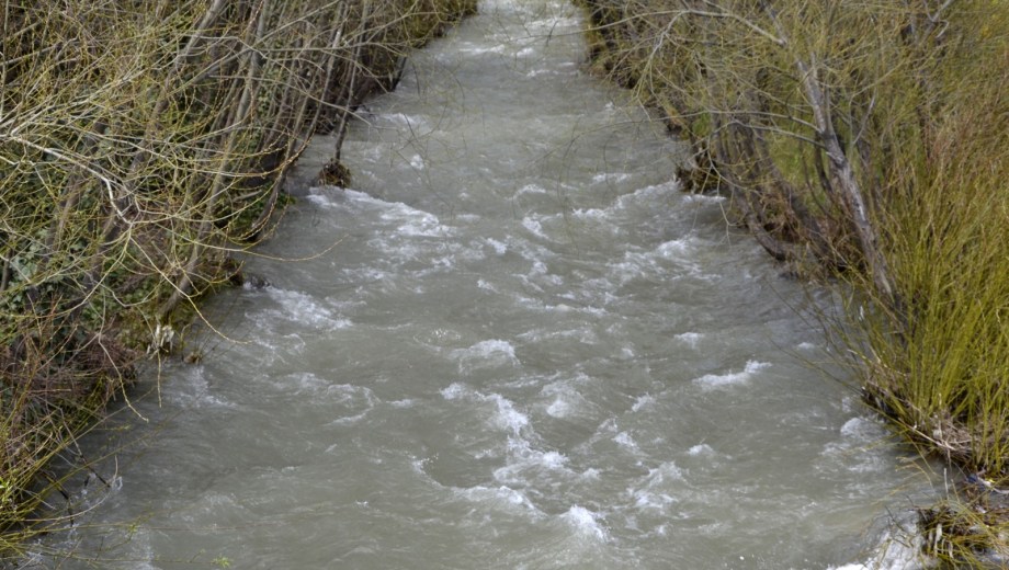 Barrios sin agua por la turbiedad del Río Ñireco - Foto: Chino Leiva. 