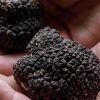Imagen de Río Negro apuesta por un cultivo de alto valor que busca ganar terreno en la Patagonia