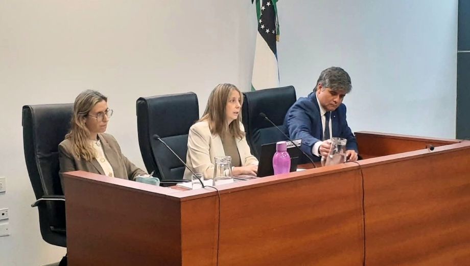 El tribunal integrado por Agustina Bagniole, Florencia Caruso y Guillermo Merlo comenzó este jueves el debate oral por el crimen.
