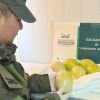 Imagen de El control avanzaba con normalidad hasta que miraron debajo del asiento: llevaban seis huevos de choique en la Patagonia