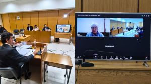 Dos disparos, tres horas de agonía y un juicio por crueldad animal en Roca: así comenzó el debate por la muerte de Horus