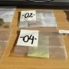 Imagen de Secuestraron metanfetamina, marihuana y hongos durante una fiesta electrónica en Fernández Oro