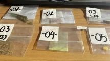 Imagen de Secuestraron metanfetamina, marihuana y hongos durante una fiesta electrónica en Fernández Oro