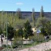Imagen de Lo acusaron por robar y faenar dos caballos en un campo rural del sur de Río Negro para vender la carne