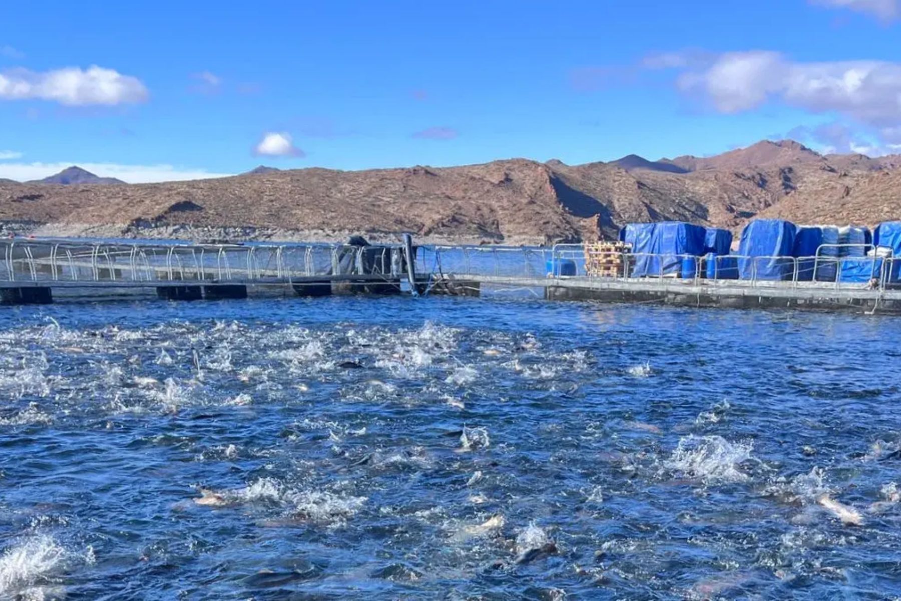 Río Negro reformula el sistema de cobro para la acuicultura
