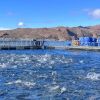 Imagen de Río Negro cambia el sistema para cobrar a la acuicultura: cómo era antes y cuánto se pagará ahora