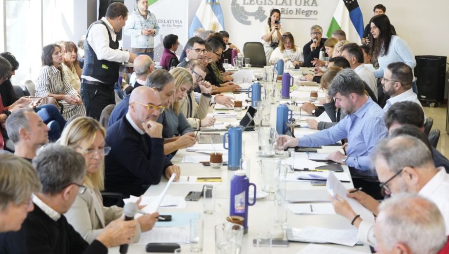 El plenario de comisiones avanzó con el análisis de distintos proyectos que podrían llegar al recinto en la próxima sesión de la Legislatura de Río Negro. Foto: gentileza.