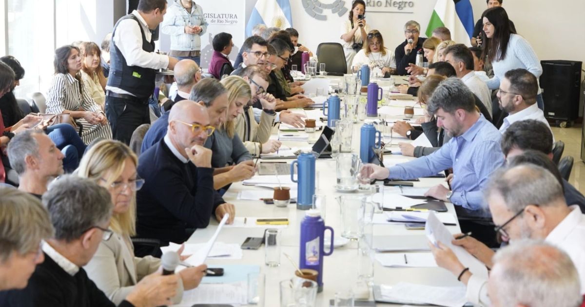 La Legislatura de Río Negro avanza en proyectos clave para su próxima sesión