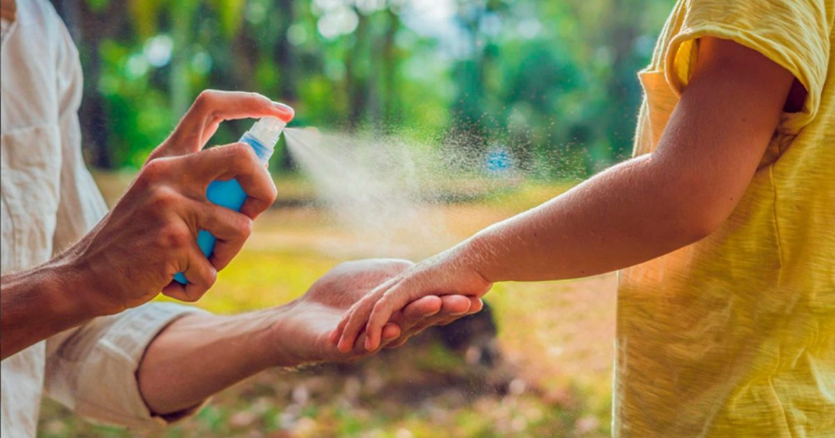 Consejos para protegerse de los mosquitos en primavera