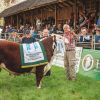 Imagen de Expo Bovinos 2026 en Junín de los Andes: quiénes fueron los campeones de Hereford y Angus