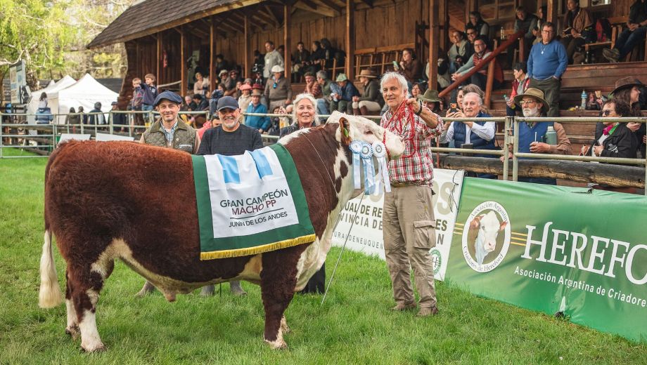El Gran Campeón Macho Hereford de la Expo Bovinos 2026, junto a su expositor y las autoridades en la pista de Junín de los Andes. Foto: Juan Savio.