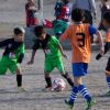 Imagen de Fútbol infantil en Las Grutas: cinco escuelas participarán de un encuentro provincial