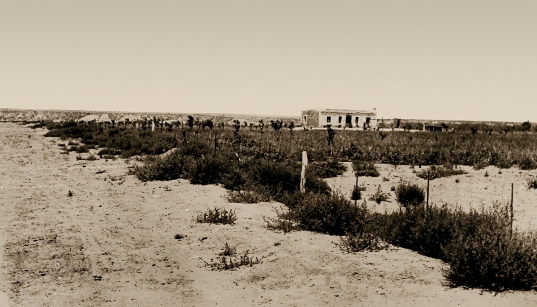 La movilización de Villa Regina por desagües: un hito histórico