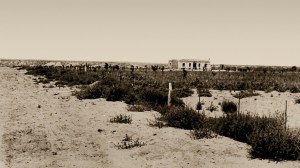 «Sin desagües no habrá nada»: la histórica movilización de Villa Regina por la tierra y el agua