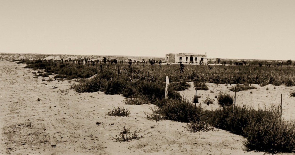 La movilización de Villa Regina por desagües: un hito histórico