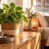 Imagen de Feng Shui: los 3 signos que necesitan hacer un cambio urgente en su casa para destrabar su energía