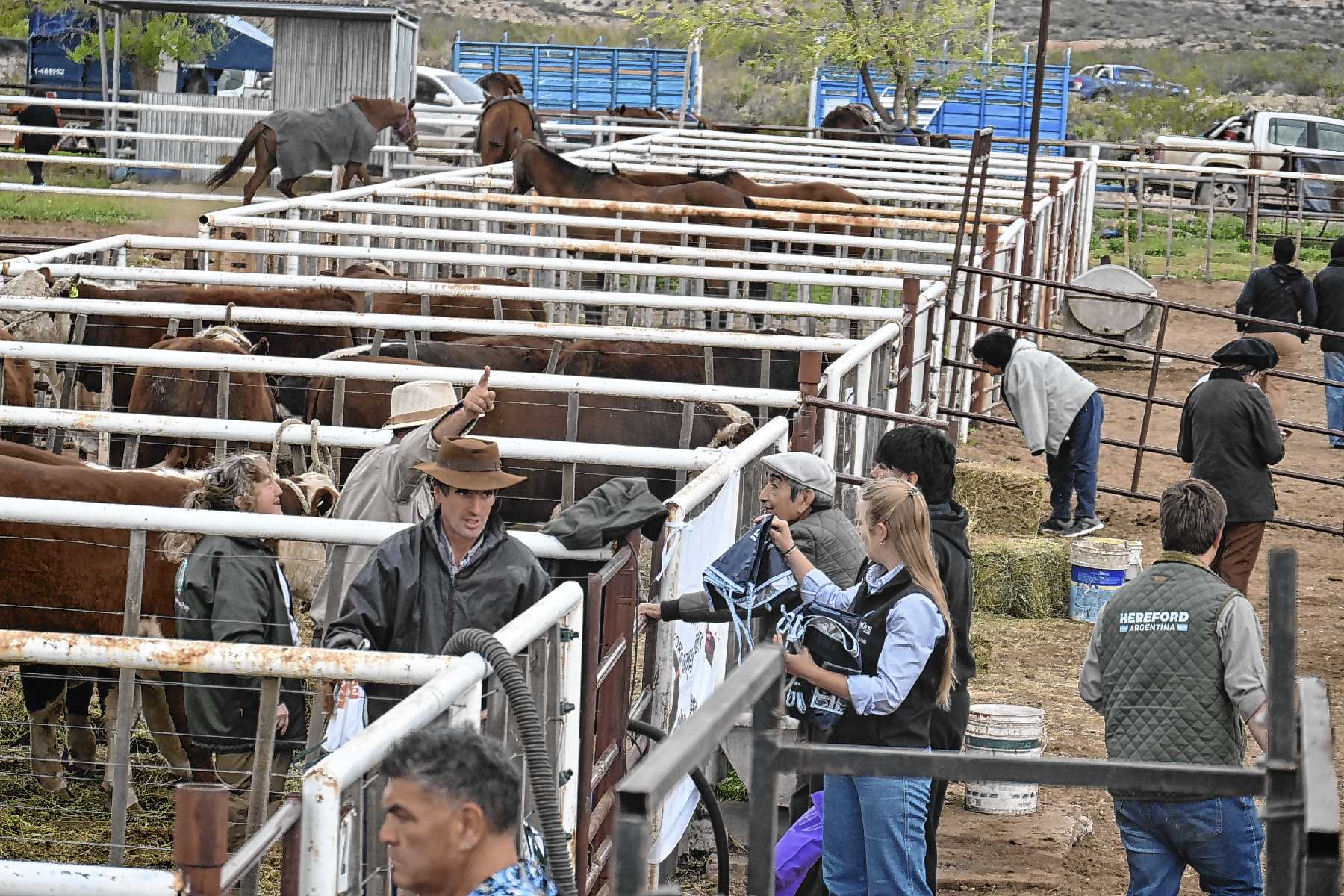 Exitosa jornada de la Expo Rural del Alto Valle en Paso Córdoba