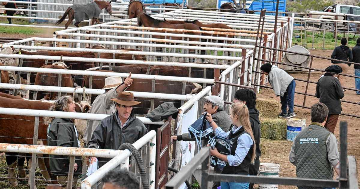 Exitosa jornada de la Expo Rural del Alto Valle en Paso Córdoba