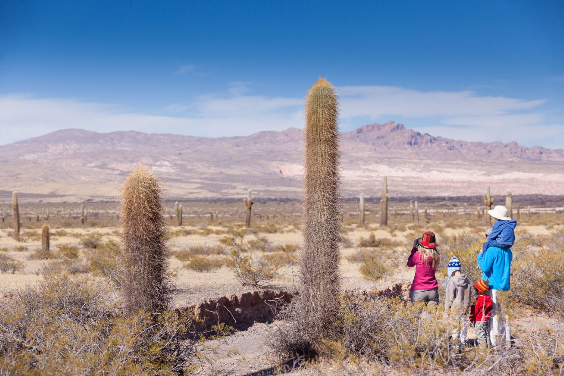 Propuesta turística familiar en Salta: cuatro días de aventura y gastronomía