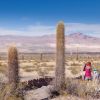 Imagen de Salta con chicos, qué hacer en cuatro días entre cerros, trenes, sabores y pueblos: un plan completo