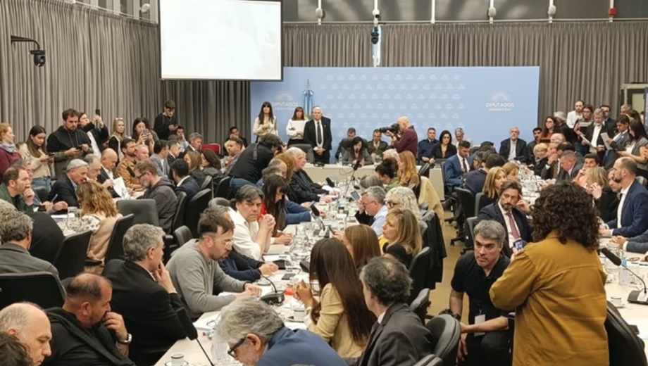 Plenario de comisiones en Diputados por la Ley de Defensa de la Soberanía Nacional.
Foto: NA 