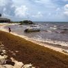 Imagen de El sargazo y los precios ahuyentan al turismo en Tulum: del paraíso mexicano a las playas vacías