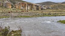 Imagen de El efecto de El Niño en la Región Sur: más agua y «esperanza» para los productores ganaderos de Río Negro