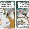 Imagen de "Cardenales", la tira de Chelo Candia en el suple Viajes y Turismo