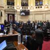 Imagen de Créditos de carbono: el Senado aprobó la ley que busca convertir a la Argentina en exportador de servicios ambientales