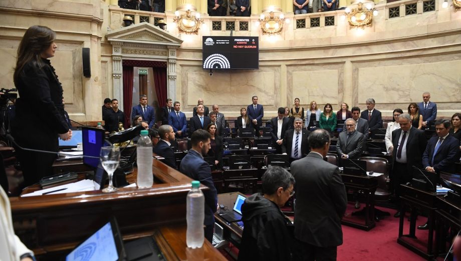 La vicepresidenta Victoria Villarruel encabezó la sesión del Senado en la que se aprobó el marco regulatorio para los créditos de carbono. (Foto: gentileza Senado)