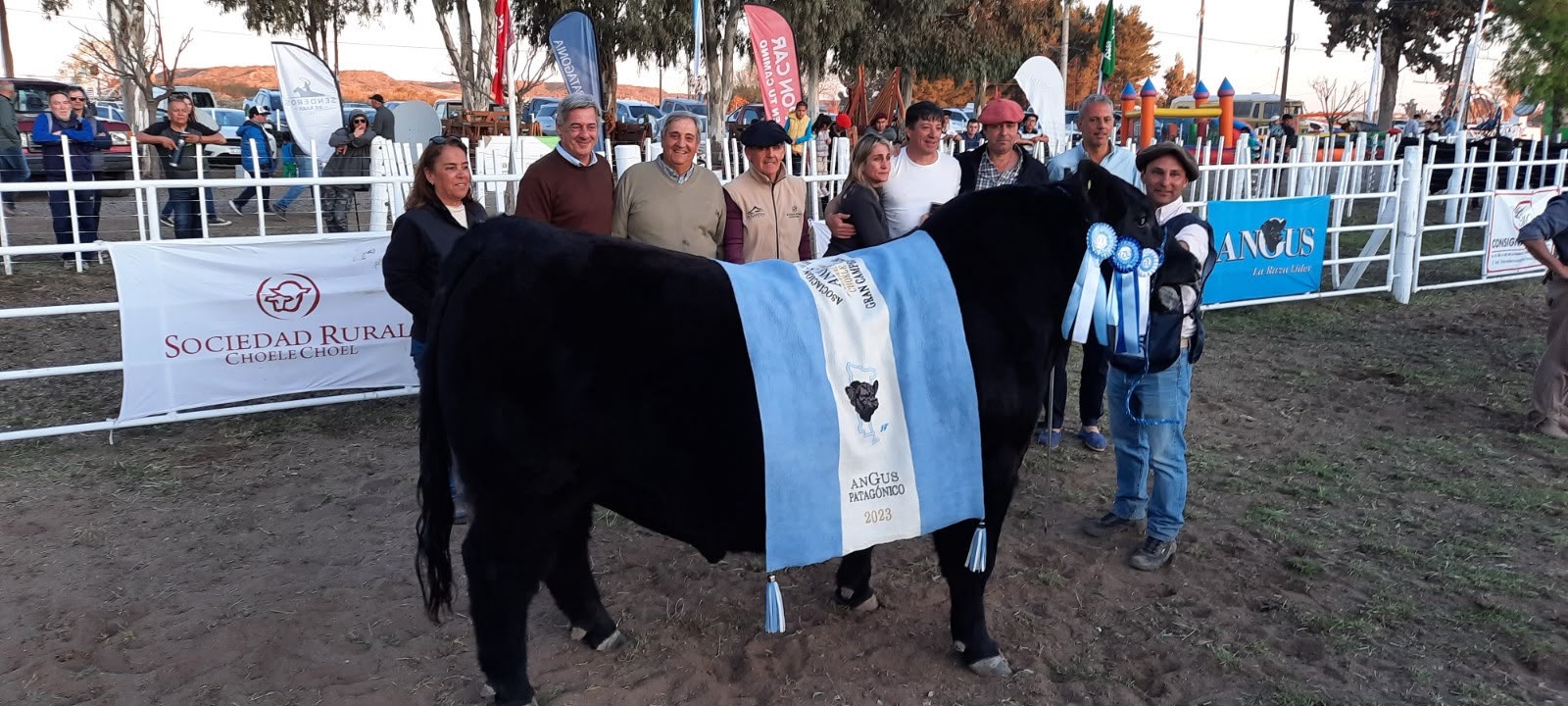 Pioneros del Angus en Conesa: ganaron en Palermo y ahora hicieron ...