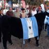 Imagen de Pioneros del Angus en Conesa: ganaron en Palermo y ahora hicieron historia con un remate único en casa