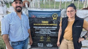 Cómo mejorar la eficiencia ganadera para producir más y mejor, el aporte de un grupo de profesionales en Valle Medio y su impacto en el rodeo