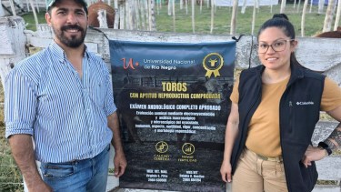 Cómo mejorar la eficiencia ganadera para producir más y mejor, el aporte de un grupo de profesionales en Valle Medio y su impacto en el rodeo
