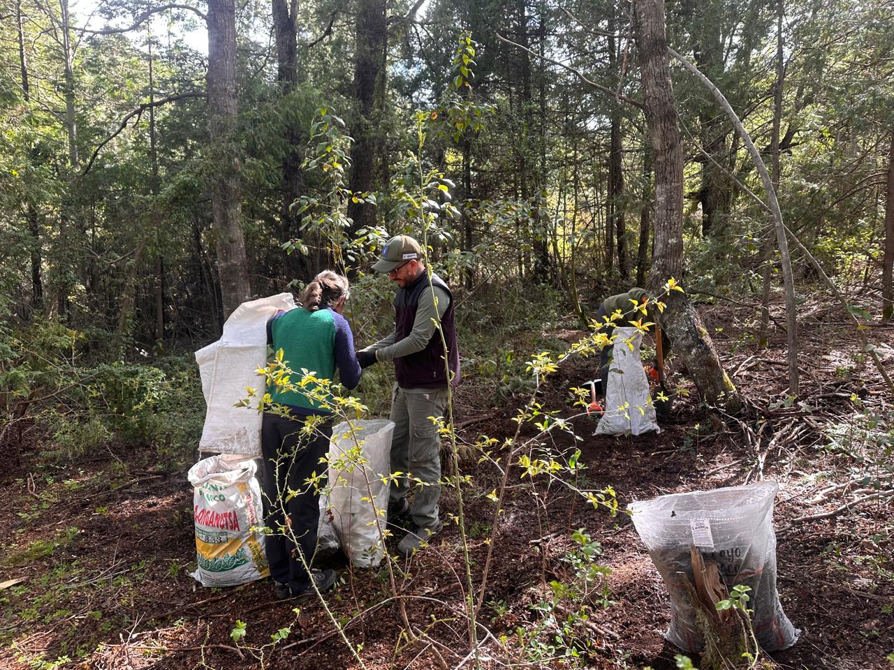 Experiencia en la Comarca para potenciar cultivos con microorganismos indígenas