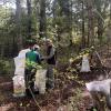Imagen de Microorganismos del bosque para fortalecer cultivos: una experiencia que crece en la Comarca