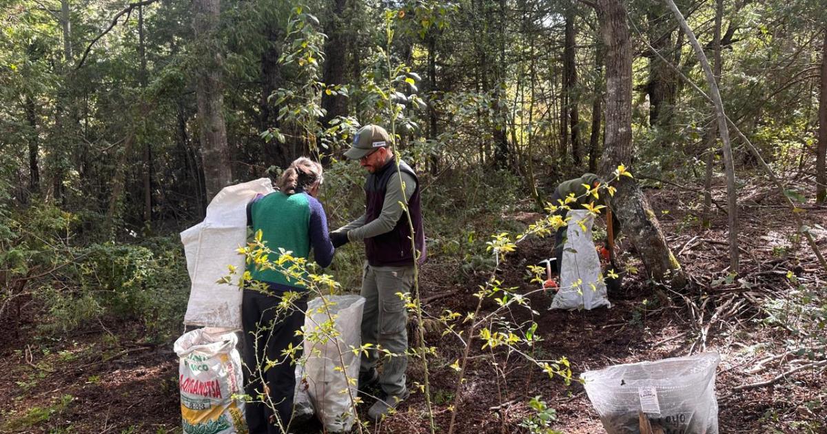 Experiencia en la Comarca para potenciar cultivos con microorganismos indígenas
