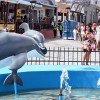 Imagen de Las Grutas y San Antonio Oeste tendrán un fin de semana con actividades turísticas, culturales y deportivas