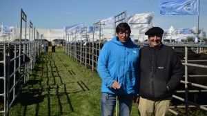 De traer Angus cuando solo había ovejas en Río Negro a debutar como anfitriones de un clásico remate anual