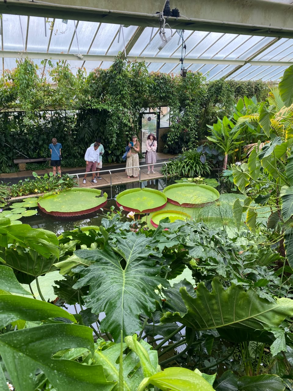 Tres hermanos crean un jardín acuático en El Bolsón que atrae a turistas
