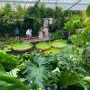 Imagen de El futuro es botánico: tres hermanos crearon un jardín acuático que maravilla en El Bolsón