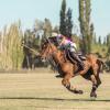 Imagen de Mitos y verdades del polo: 10 curiosidades de un deporte que gana adeptos en la Patagonia