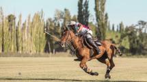 Imagen de Mitos y verdades del polo: 10 curiosidades de un deporte que gana adeptos en la Patagonia