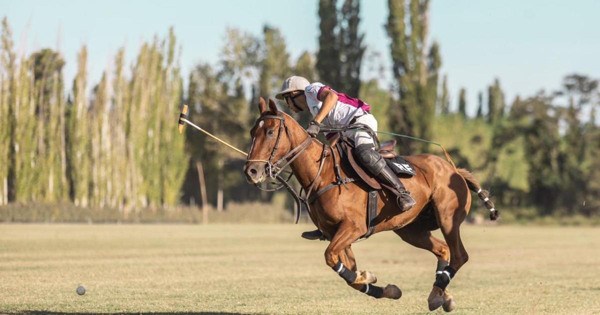 Curiosidades del polo: un deporte en auge en la Patagonia