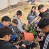 Imagen de Estudiantes de Añelo aprenden a cultivar frutillas y llevan la experiencia del vivero a sus hogares