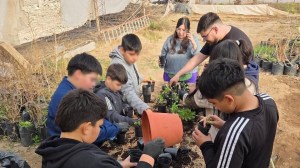 Estudiantes de Añelo aprenden a cultivar frutillas y llevan la experiencia del vivero a sus hogares