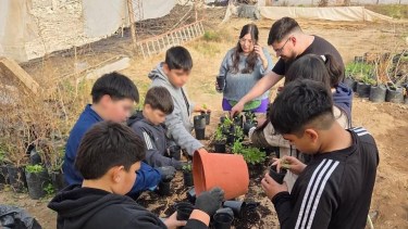 Estudiantes de Añelo aprenden a cultivar frutillas y llevan la experiencia del vivero a sus hogares